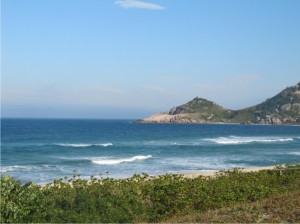 Florianópolis Açaí From Brazil